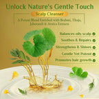 Richfeel Scalp Cleanser - 100ml